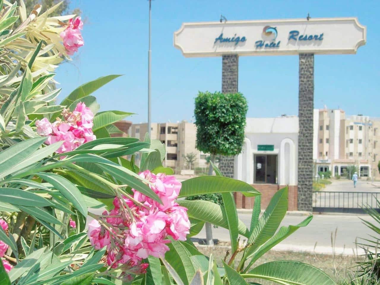 مشروع Amigo 3 العين السخنة: فرصة استثمارية ذهبية على طريق السويس ووجهة سياحية متكاملة